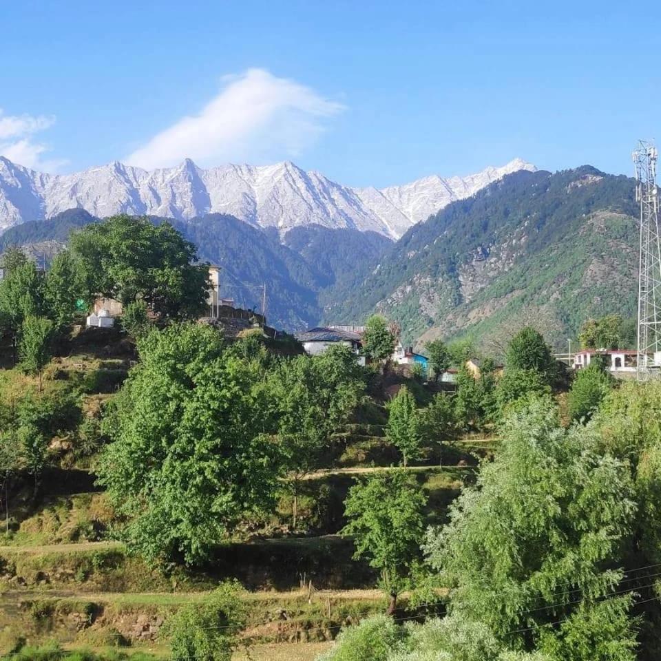 Anchal House Apartment Dharamshala Luaran gambar